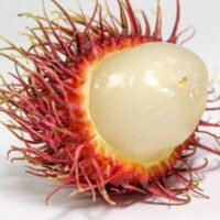 Rambutan Fruit: The Crazy Looking Red Hairy Fruit