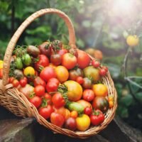 What Are The Sweetest Tomatoes? How To Grow Them?